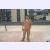 Darwin Yupangui T.