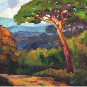 JOSEP RAMON SOLA