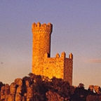 ARTISTAS DE TORRELODONES