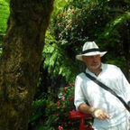 rafael rey martinez
