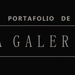 Portafolio de la Galeria