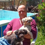 carmelo mario romeo