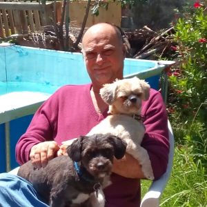 carmelo mario romeo