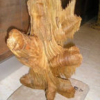 Francisco Artista martin r.