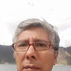 PATO LLANO