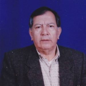 grandes pintores de BOLIVIA COLECCION PRIVADA DE ALVARO G. DURAN