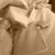 andres rayo ruiz