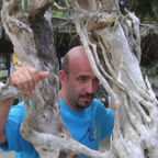 FADRIQUE Pinal