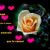 Francisco Javier Hernandez Flores