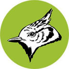 Lluis Sogorb