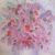 Raya Juanita