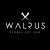 Foto de The Walrus Hub