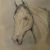 JOSE SINESIO LOPEZ MARTIN