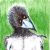 Alejandro carmona