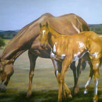 Josefina Godoy