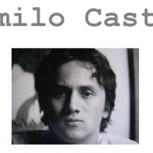 Camilo Castro Artista