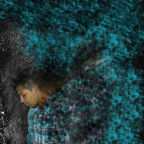 Cristhian Adonnis Godoy Gonzalez