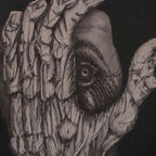 Fermín V (Vázquez)