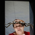 Violeta  Lemme