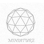 Miniature Project