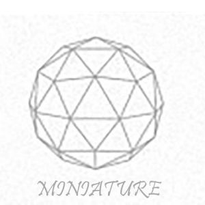 Miniature Project