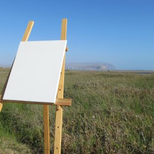 Pinturas Fanny