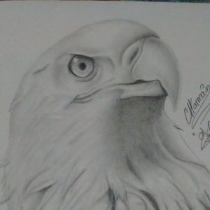Charmain  Art