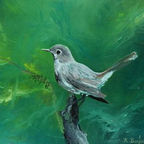 Raphael Bonjour