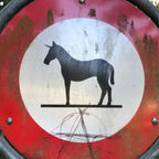 Aréne