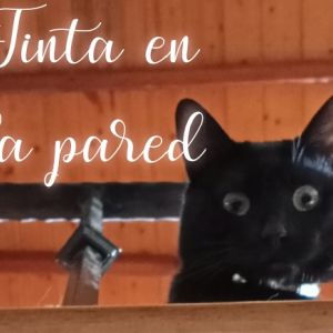 Laura Escolà Narbona