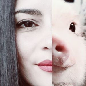 PIG ARTIST