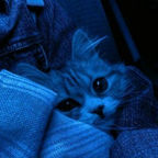 iihiroko_lol e.e