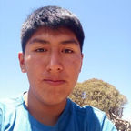 Joel renan  Mamani mamani