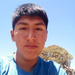 Joel renan  Mamani mamani