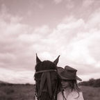 Caro Rey
