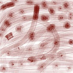 Leo Abstract