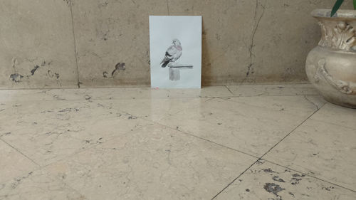 Foto de Amparo  Moreira Santos