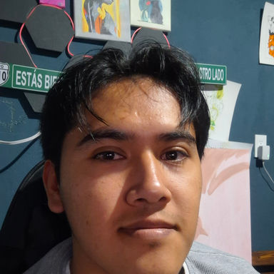 Jesus Mendoza Ramirez