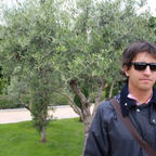 Tito Saenz Rozas