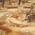 Ezequiel de Leon Cruz