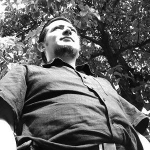 ALFREDO GALVEZ ARAIZA
