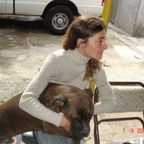 MARIA CLAUDIA CALLEGARI
